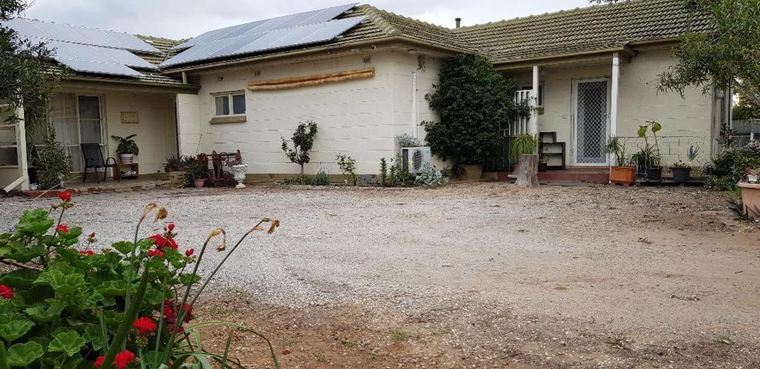 Unit In Marion Apartamento Sturt Exterior foto